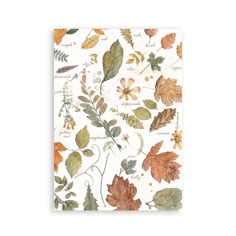 Stamperia – Flowers and Poems Washi Pad A5 – 8 ark
