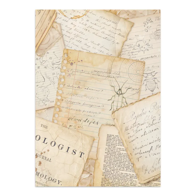 Stamperia – All Around Junk Journal Stickers, Backgrounds & Cut-Outs